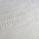 Bluedec CH Aerogel